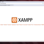 kontrolle_xampp.png